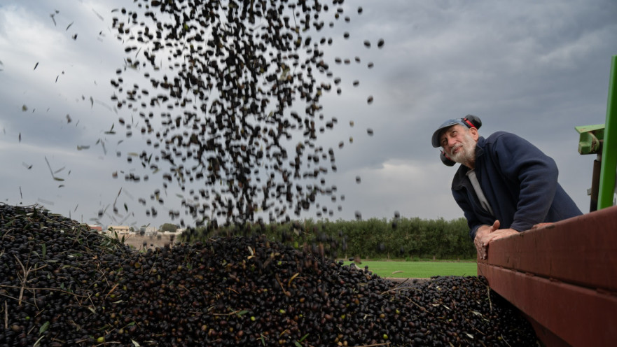 חקלאי בצפון