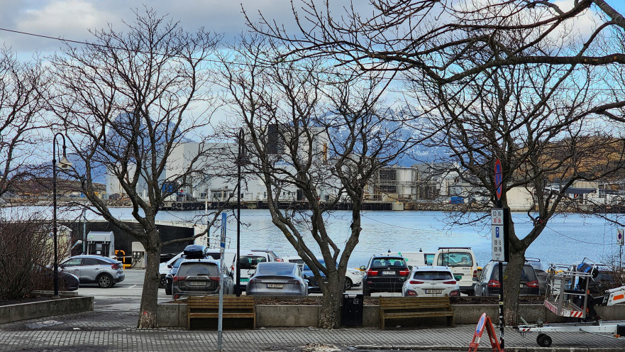 בכל מקום שאליו מתבוננים רואים את הים