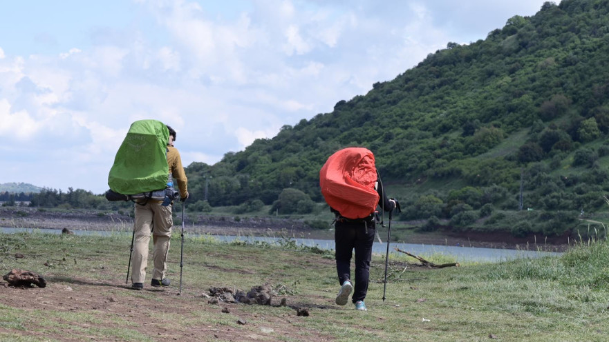 מטיילים ביער שורש
