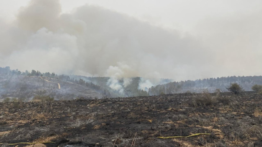 השריפה באזור בית שמש: משאית שרופה ביער אשתאול 