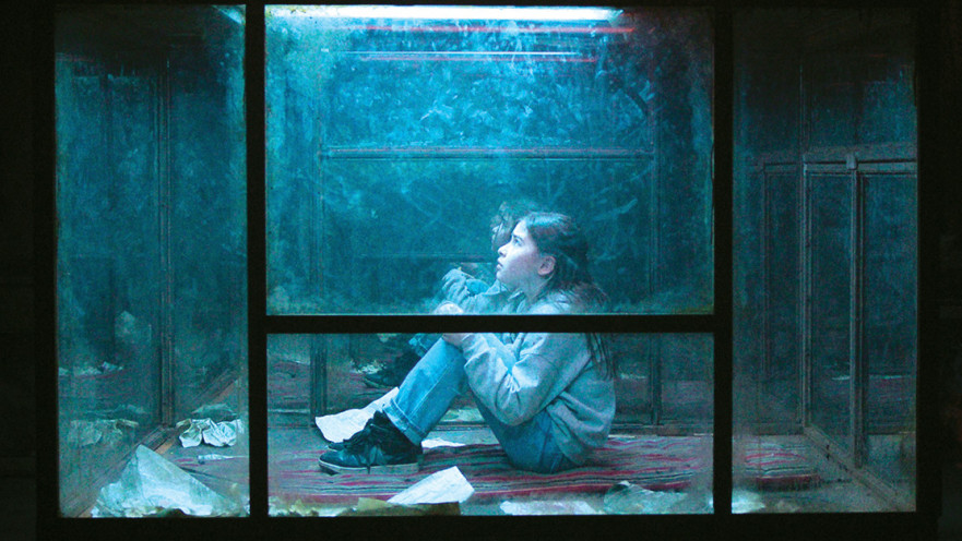 כיפת זכוכית