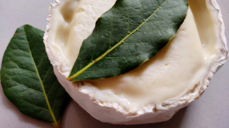 גבינה חוות הנוקד