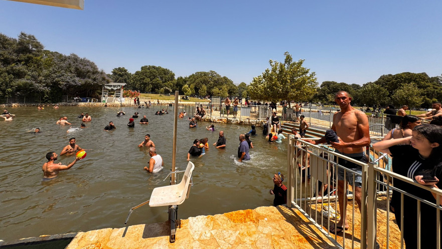 מטיילים בחורשת טל