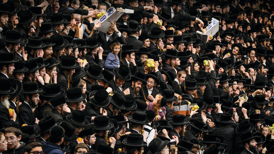 חרדים מחסידות בעלז בירושלים