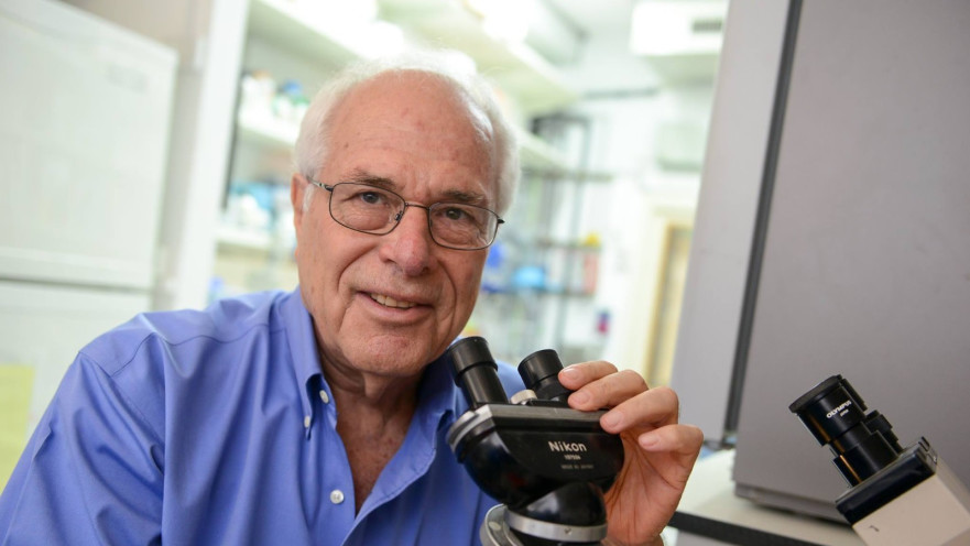 פרופ' אשחר. זיקה לתאי דם לבנים מסוג T