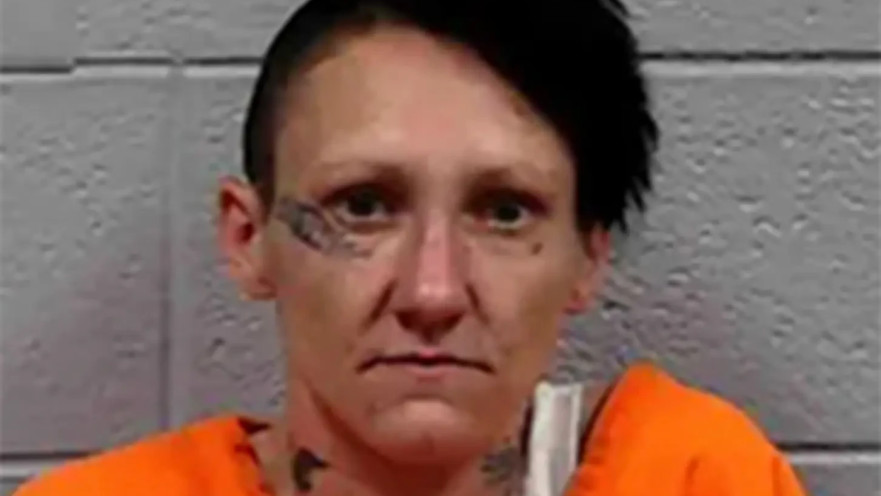 שאנון בראיינט