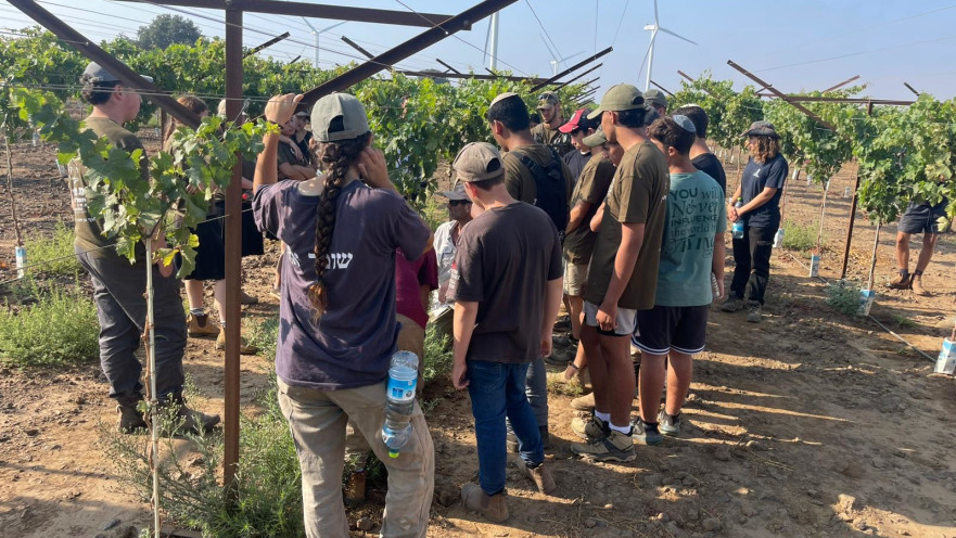 תוכנית "קיץ של תקומה"