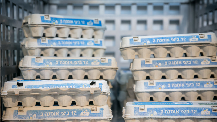 קרטוני ביצים