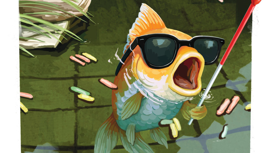 מה ביקשתי מדג הזהב העיוור שלי 