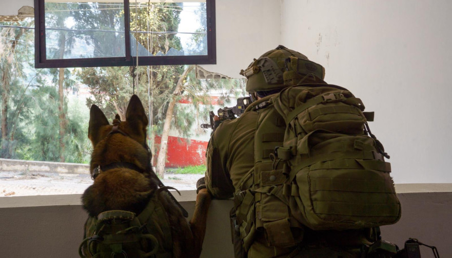 פעילות צה"ל בדרום לבנון (צילום: דובר צה"ל)