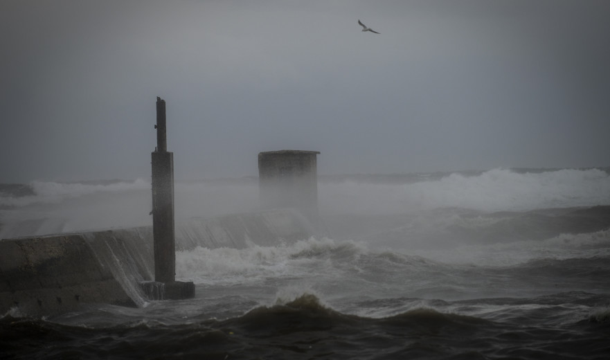 לגזום ענפים ולבדוק את דודי השמש: קריאה חשובה לציבור לקראת הסופה "ביירון"