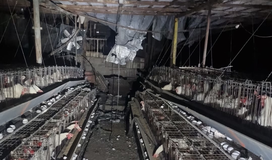 פגיעה ישירה בלול תרנגולות במושב בגבול הצפון