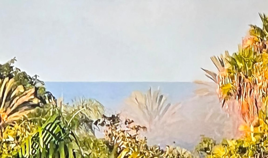 למרות הבקשות של ארה"ב: כך צה"ל נקם על הכטב"ם לביתו של נתניהו