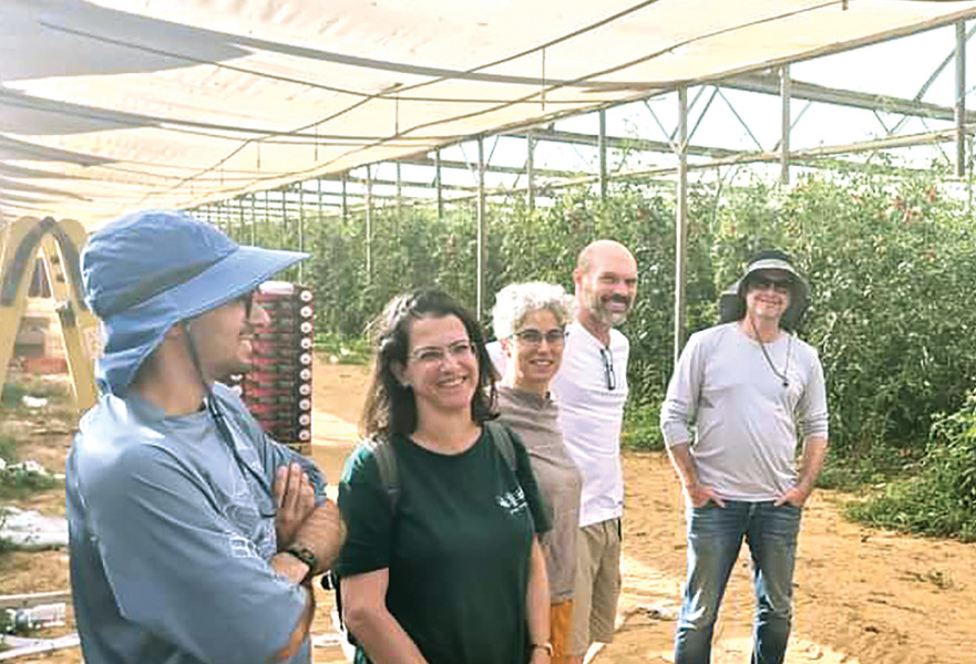 מתנדבים בחקלאות בעוטף עזה