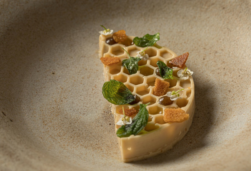 פנקוטה קרם דבש, שום מותסס וזעתר מטוגן ב-OCD