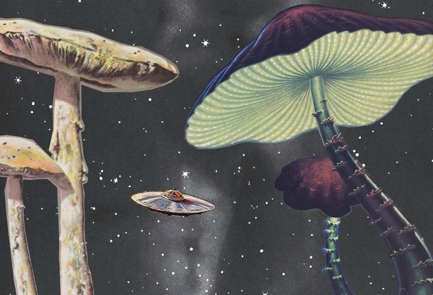 עבודה של ענבר היימן