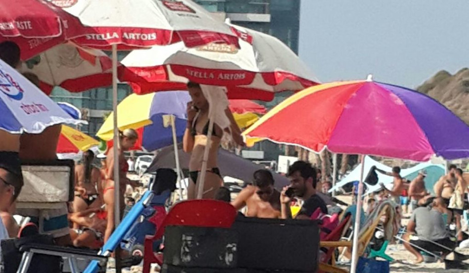 פאן, אילוסטרציה. יהודה לוי ושלומית מלכה