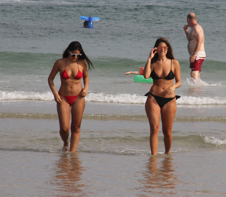 יאללה, ביוש. דנה זרמון