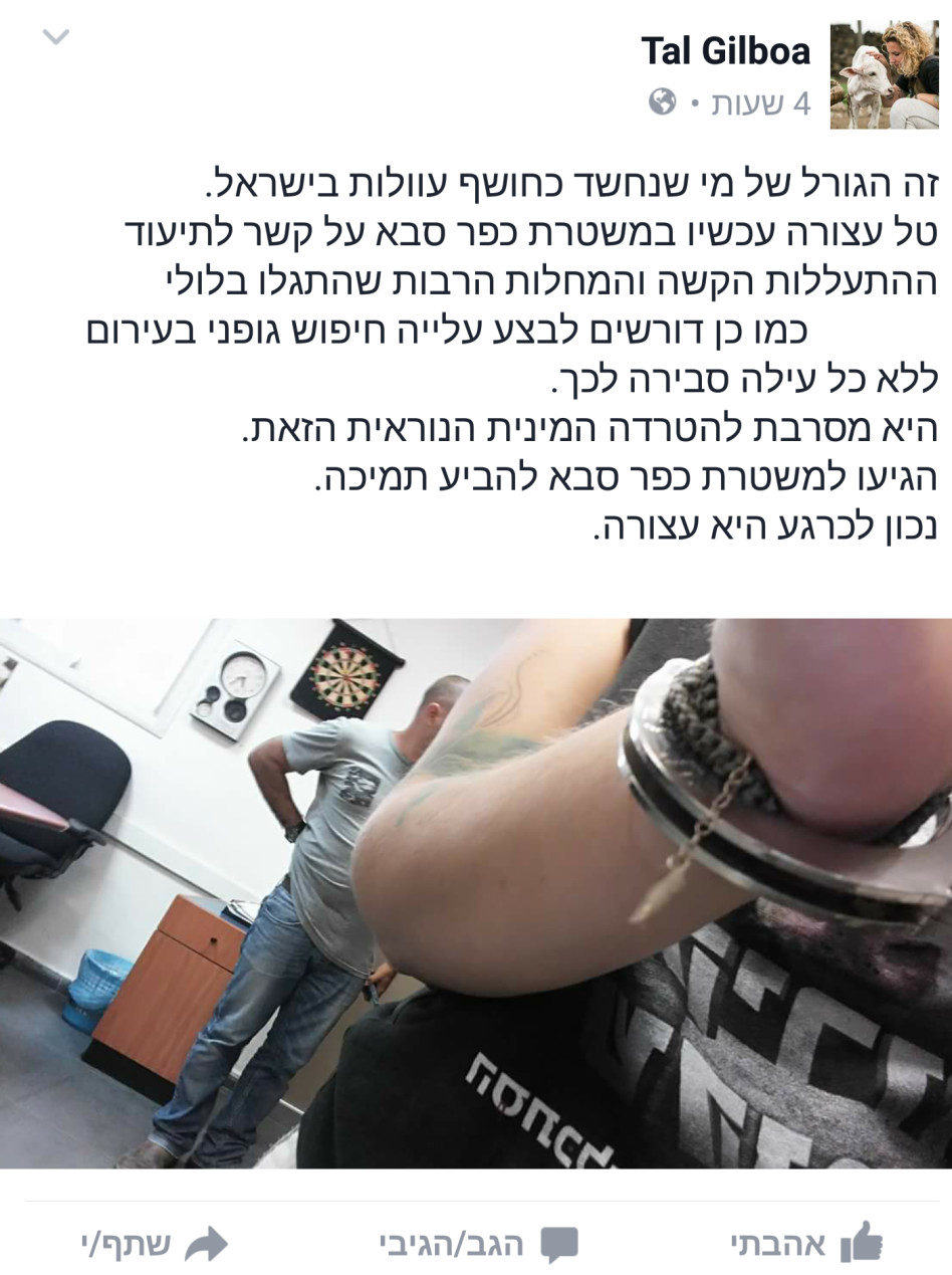 הסטטוס הזועק בפרופיל של טל גלבוע (צילום מסך)