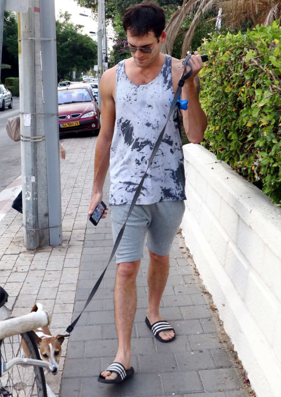 חבר, שאשלח את הדוגי לנשוך?