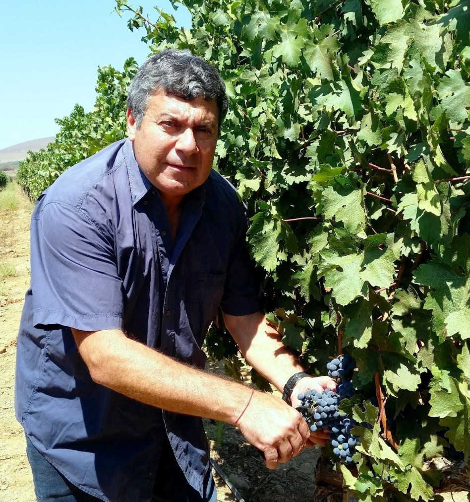 יואב לוי (יח"צ)