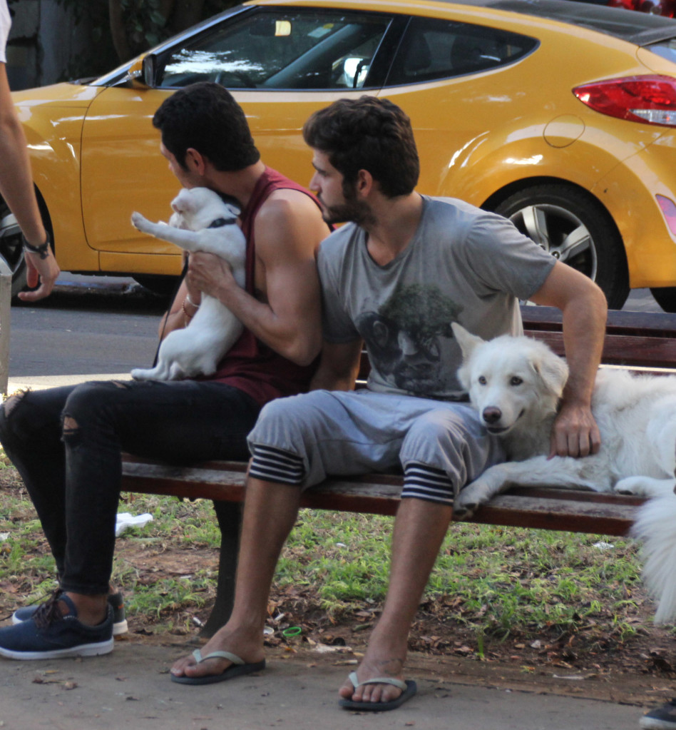נעים להם. חיון ושוויצר עם הביצ'ז