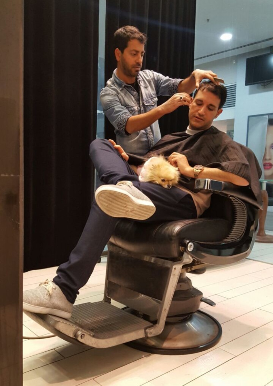 איפה משקפי הספרניות?