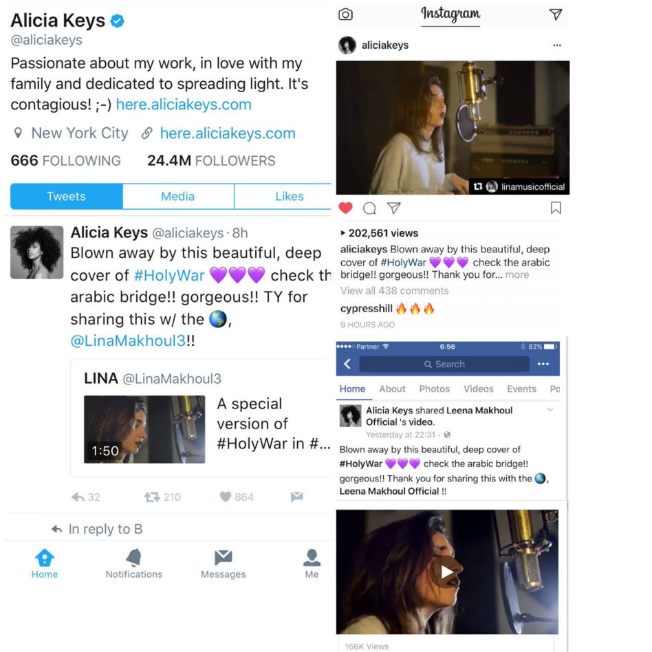 קולאז של פרגון. (צילום מסך)