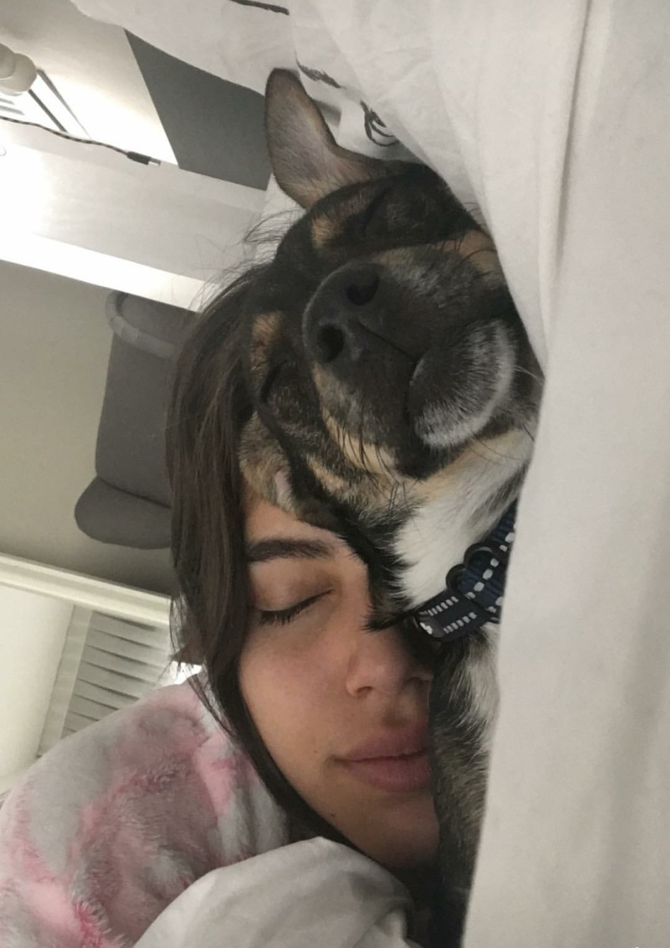 החבר הטוב ביותר של האדם