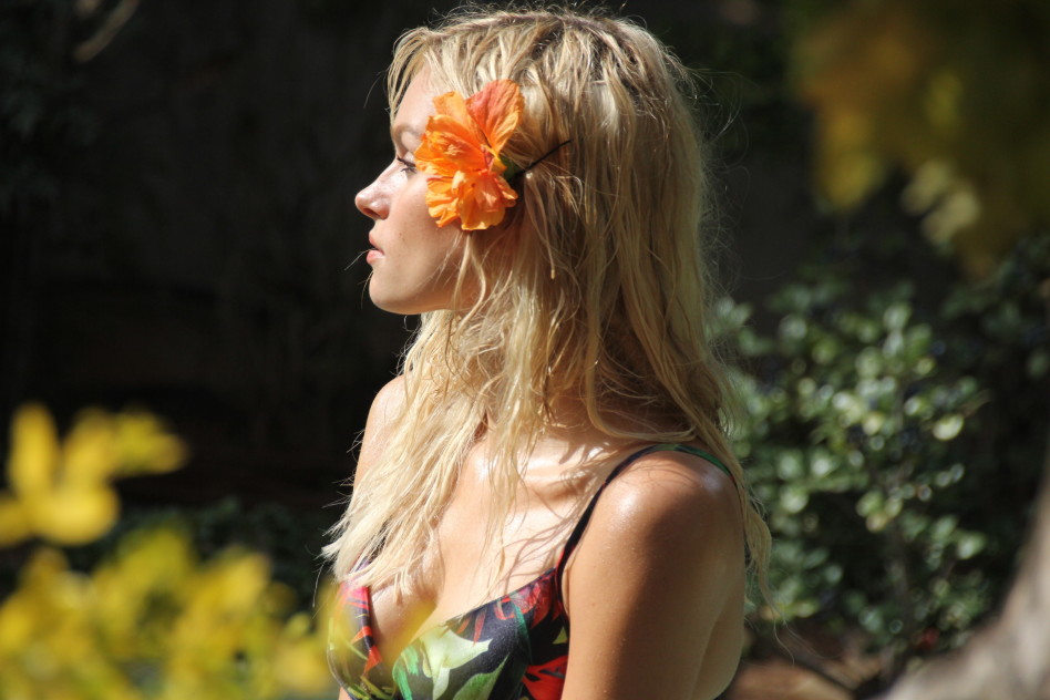 הפרח מושך שמש או דבורים?