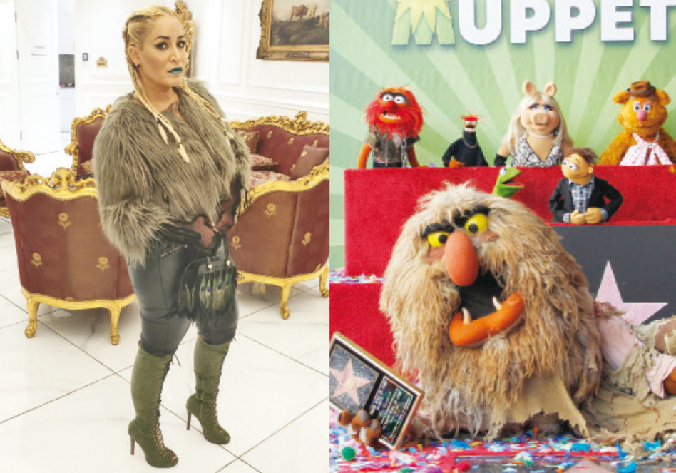 דורין סגול (צילום: אור גפן)