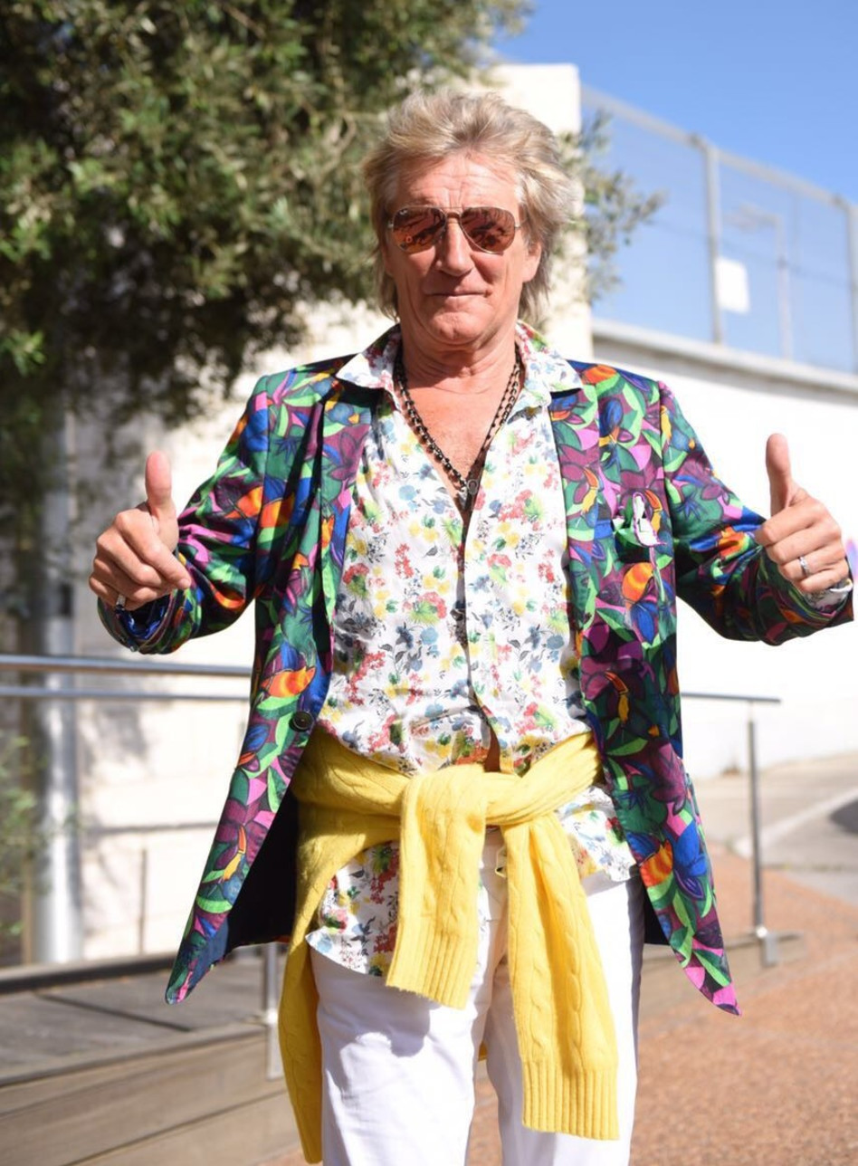 החיים יפים. רוד סטיוארט (צילום: ליאור כתר)