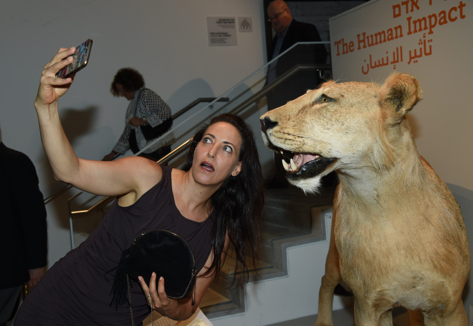 ליהיא לפיד (צילום: ישראל הדרי)