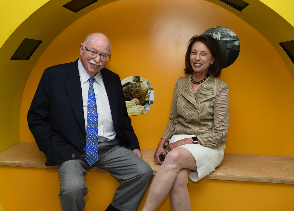 מייקל וג'ודי שטיינהרדט (צילום: ישראל הדרי)