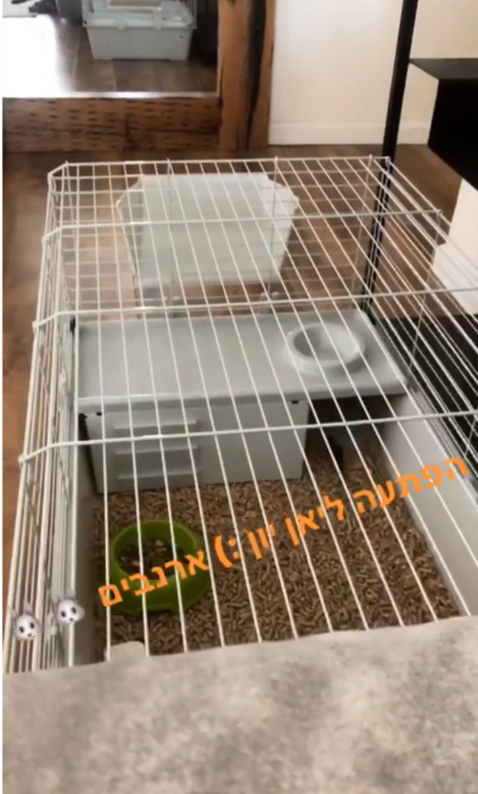 החברים החדשים. (צילום: אינסטגרם)