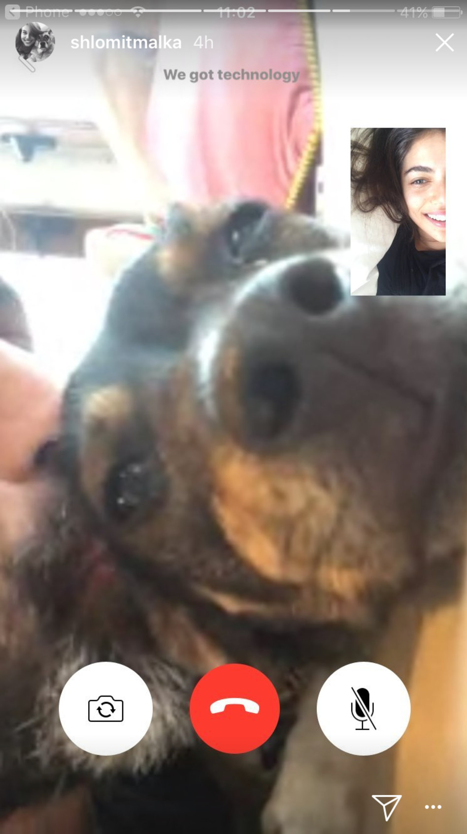 מתגעגעת לדובי מעבר לים. וגם לכלבים (צילום: אינסטגרם)