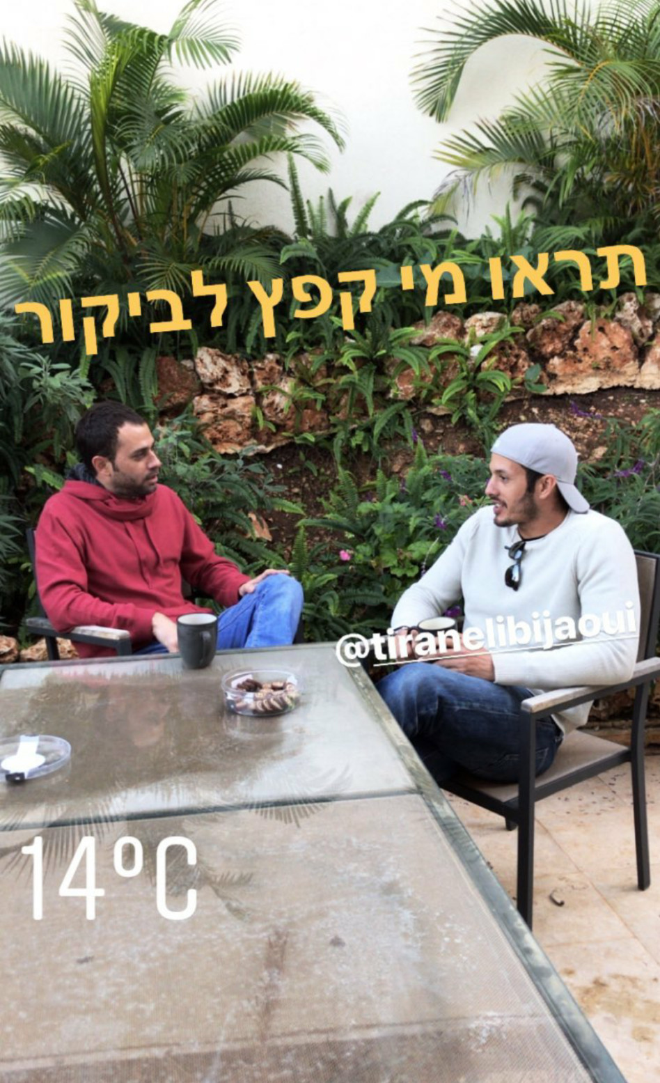 מרכלים על הכלות? אלי ביז'אווי וטל כוכבא