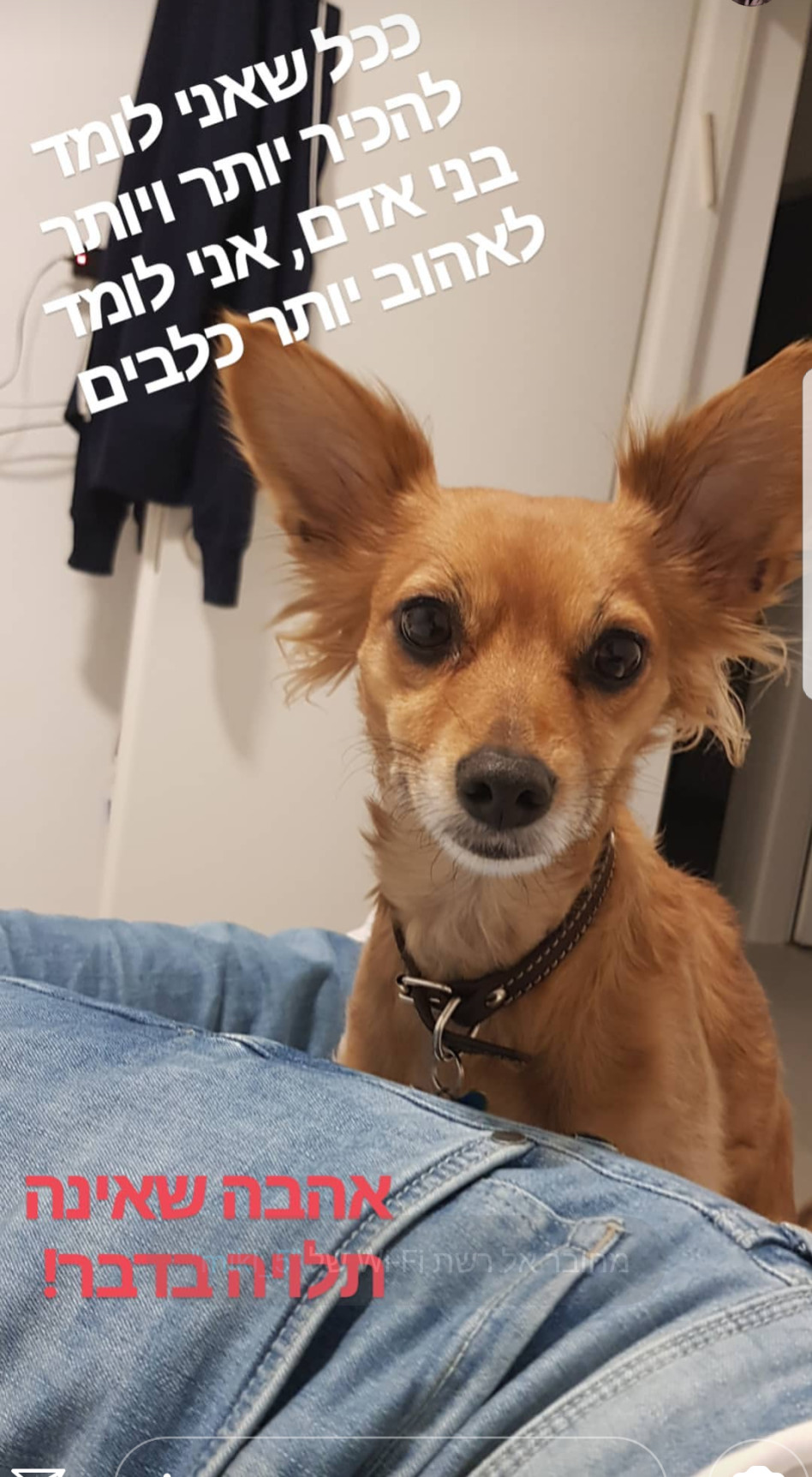 תראו מי חזרה