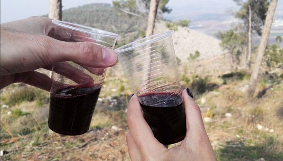 לחיים? מי אתה?! אחווה סיטבון (צילום: אינסטגרם)