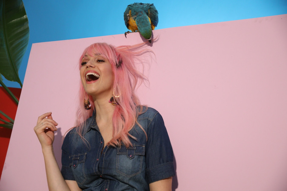 הכירו את שמחה