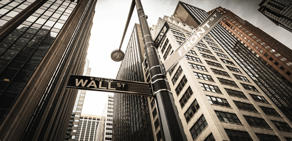 המארחת. לאה שנירר