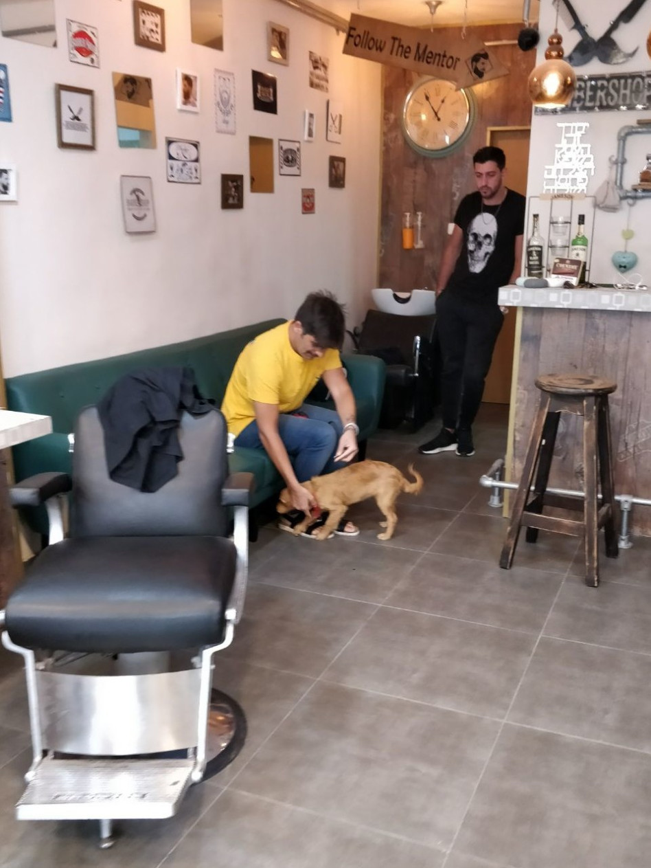 נתפסת. רותם כהן