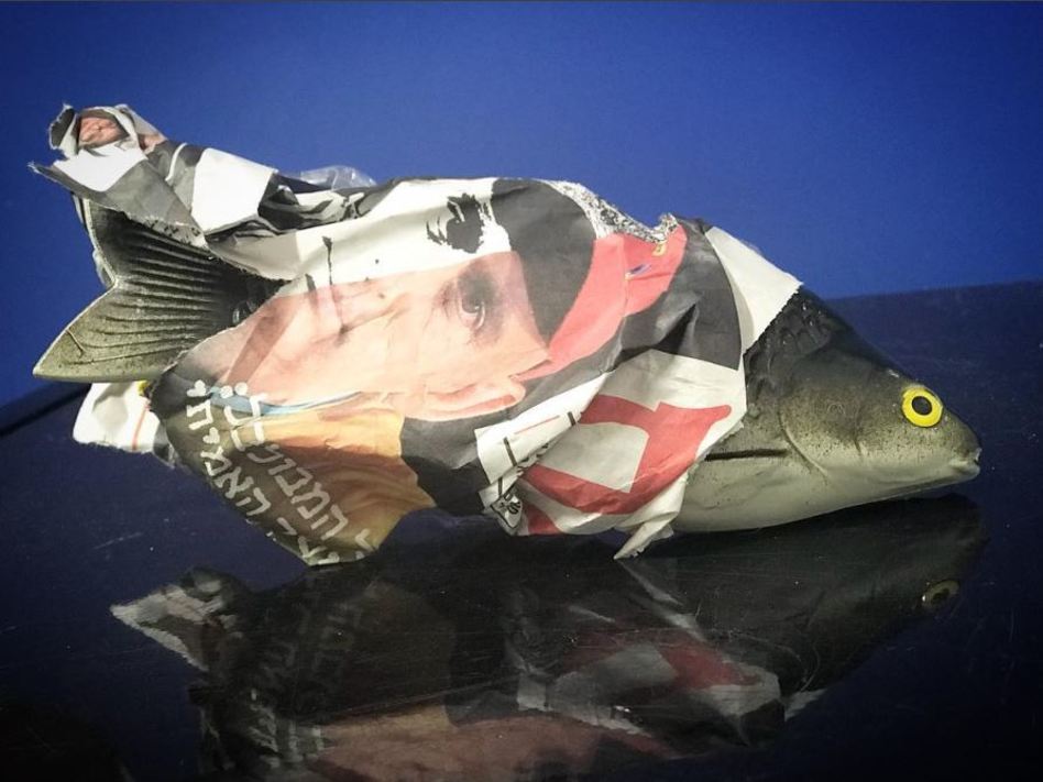 (מתוך: אינסטגרם)