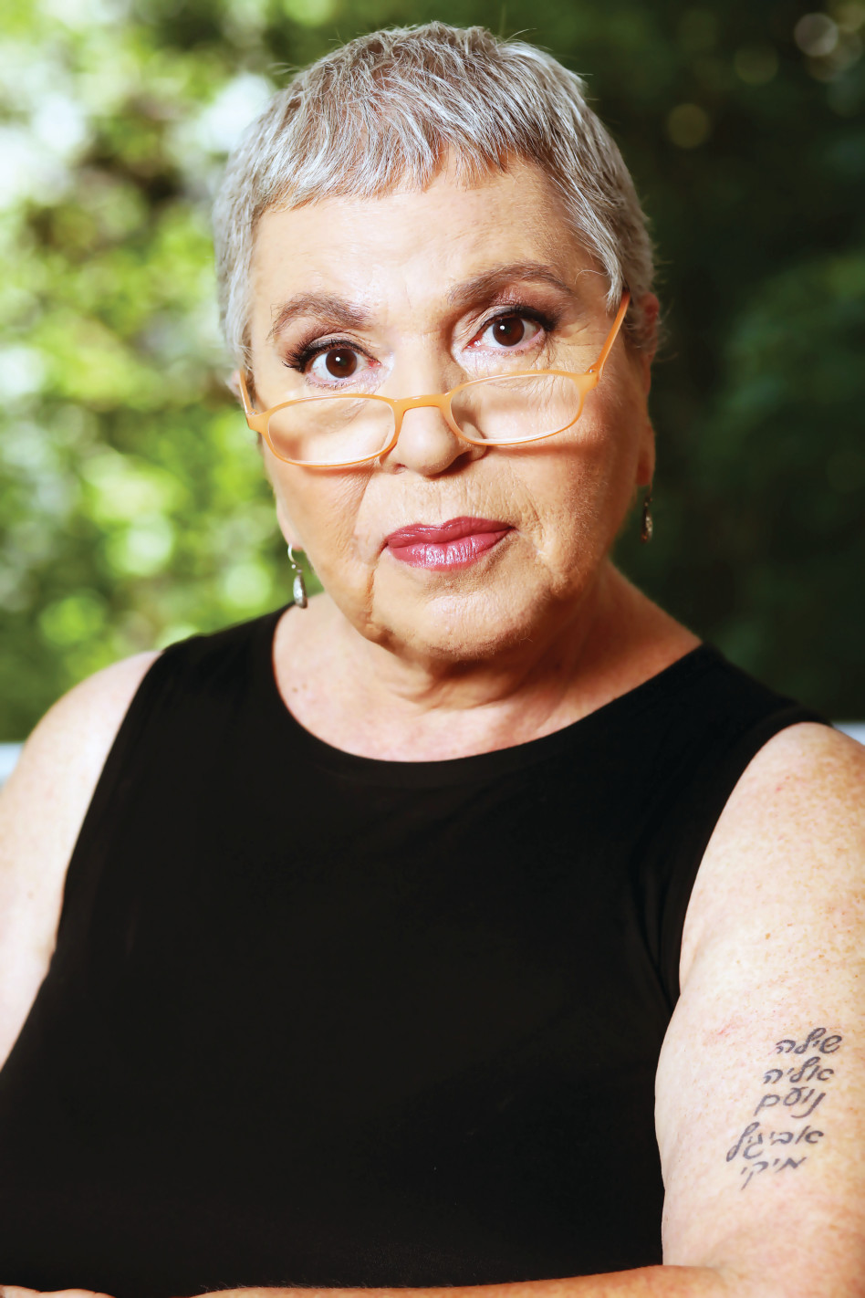 תיקי דיין (צילום: אריאל הבשור)