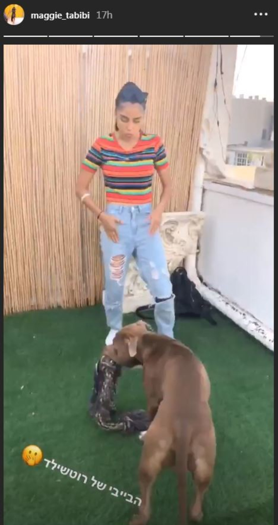 בביתו של תומר (צילום: מתוך הסטורי של מגי טביבי)