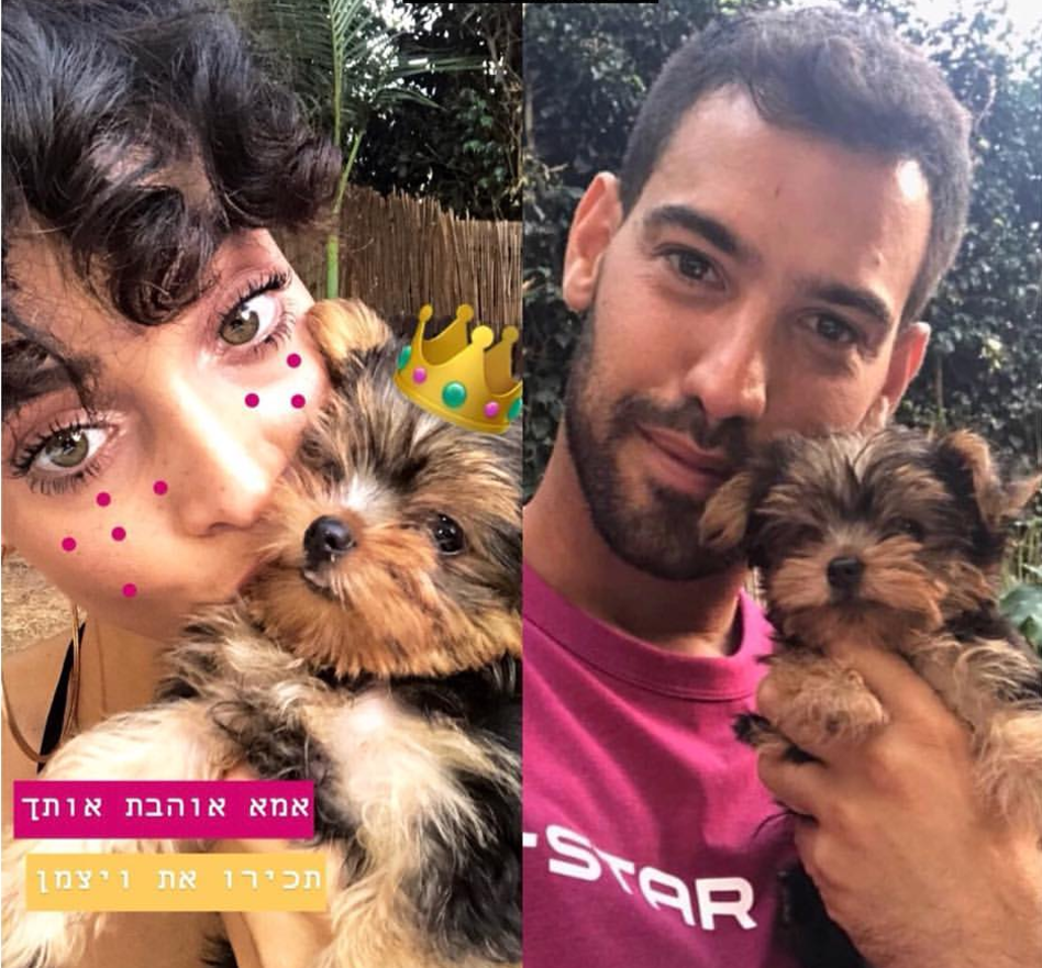 ויצמן המתוק (צילום: אינסטגרם)
