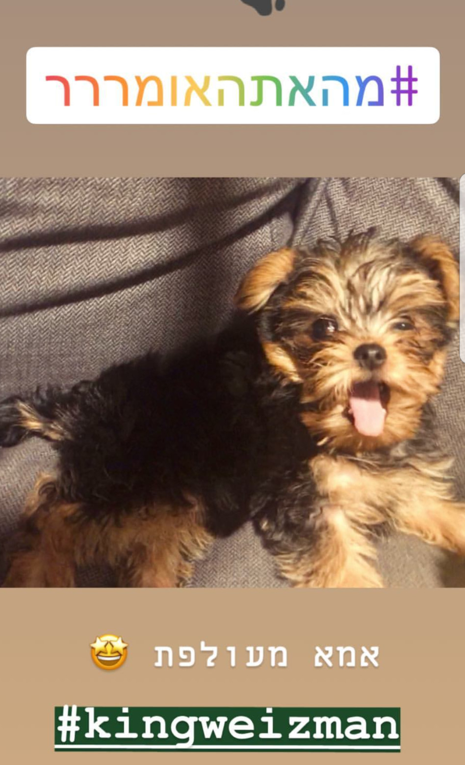 ברוכה הבאה למשפחה