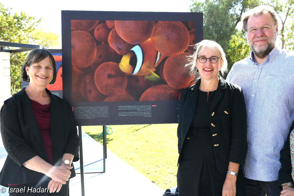 אלון ספן, הלן לה גל ותמר דיין (צילום: ישראל הדרי)