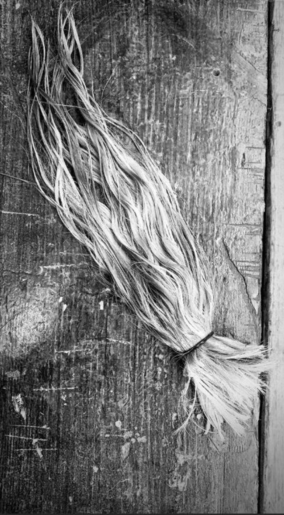 ביי לקוקו הגבוה