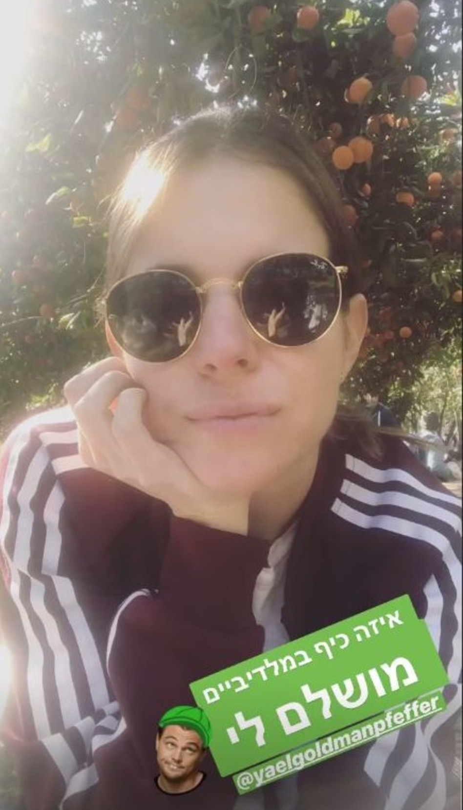 מבואסת. לירון ויצמן